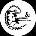 찬유cyncgecko