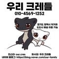 우리크레들