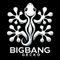 빅뱅게코