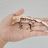 serengecko