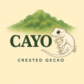 CAYO