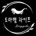 도마뱀라이프