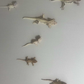 빵빵이크레