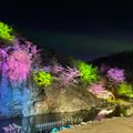 땡키스트