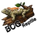BOGREPTILE
