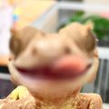 치요쨩