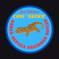 ChoiGECKO