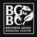 BGBC