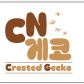 CN게코