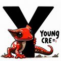 YoungCre