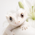 Lilllllllllligecko