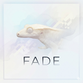 페이드