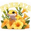 freesia