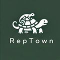 렙타운REPTown
