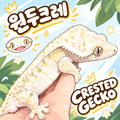 원두크레