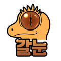 갈눈