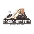 dokdoreptile