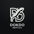 DokDoRepTile