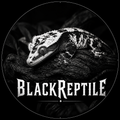 BlackReptile