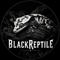 BlackReptile