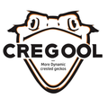 SSAPGECKO