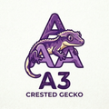 A3