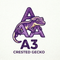 A3
