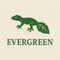 애버그린