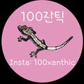 100잔틱