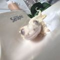 꾸꾸덕크레