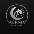 AURNIX