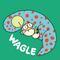 와글WAGLE