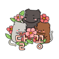 달꽁