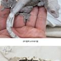 뚝딱뚝딱철공소