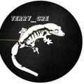 테리TERRY