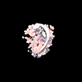멋Mut