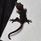 SPACEGECKO