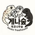 게코나무숲in청주