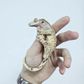 Bcigecko