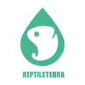 렙타일테라