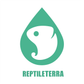 렙타일테라