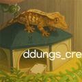 ddungscre