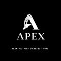 APEX에이팩스