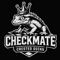 체크메이트