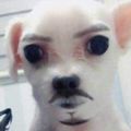 좃만이
