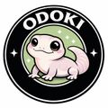 오도키
