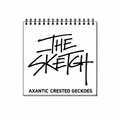 더스케치TheSketch