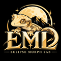 EclipseMorph