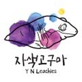 자색고구마