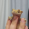 예쁜크레